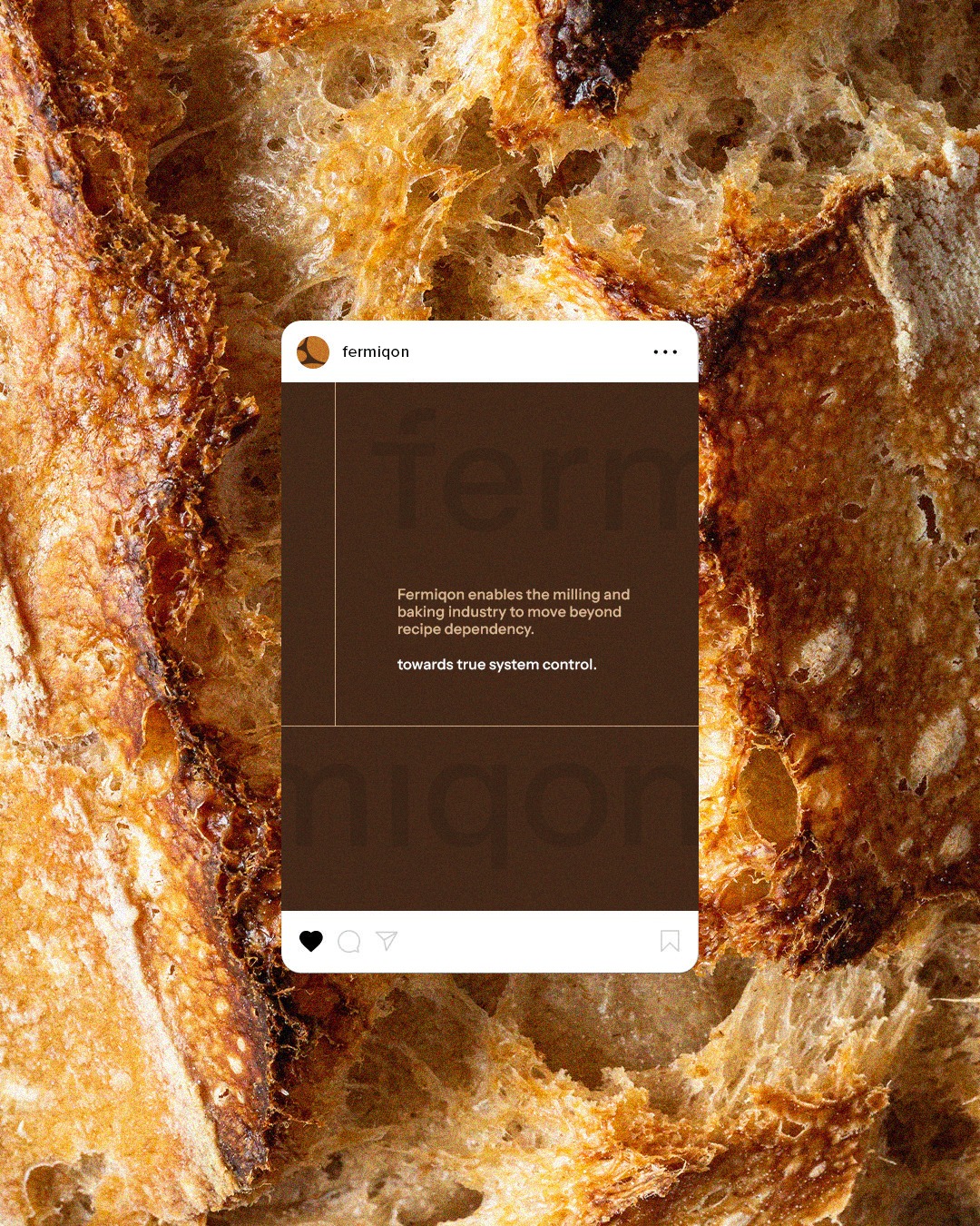 Fermiqon Branding Image 1