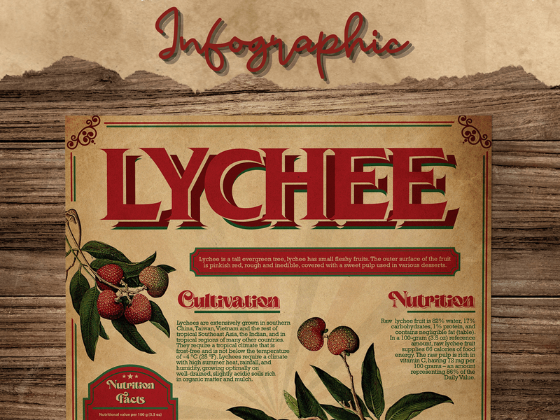 INFOGRAPHIC RETRO - Fruit Lychee