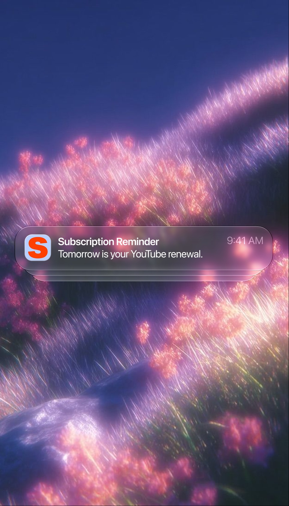 Subscrr: Every subscription. One clear number. Image 1