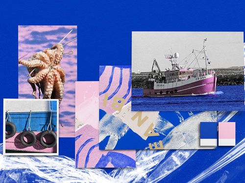 Ocean Groove : Funky Pop Seafood Brand Visual Identity