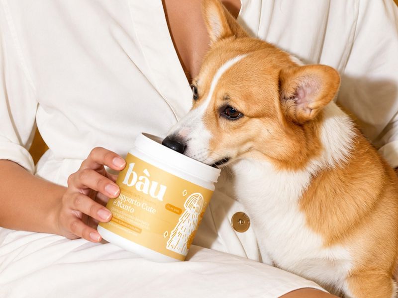 Bau Nutrition | Pet Food Packaging System