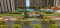 Purva Northern Lights