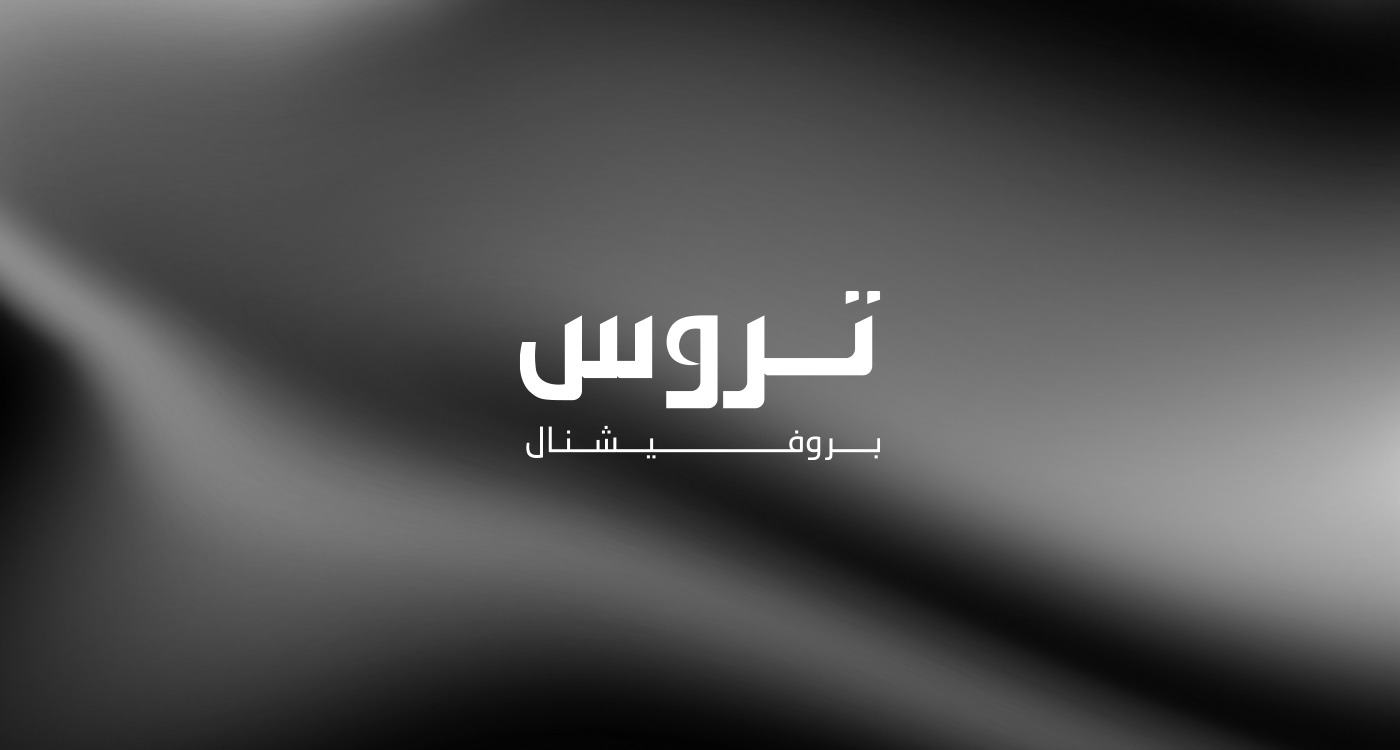 Truss Professional | Arabic Brand Identity (+En) Image 26
