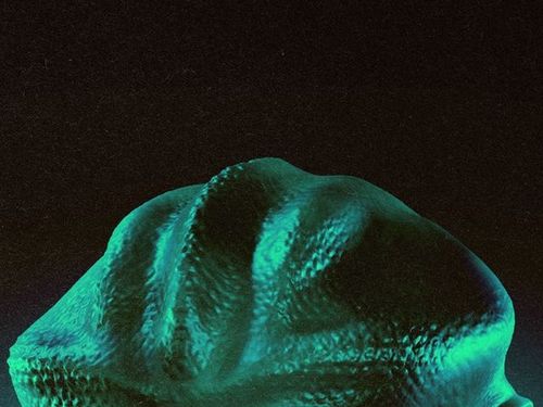 Valentine Graef sur Instagram: "/ Alien:Vision
