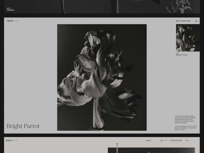 Flowers Magazine