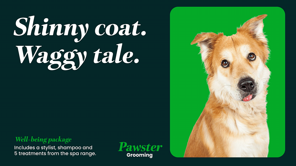 Pawster Image 13