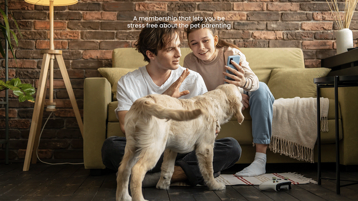 Pawster Image 16