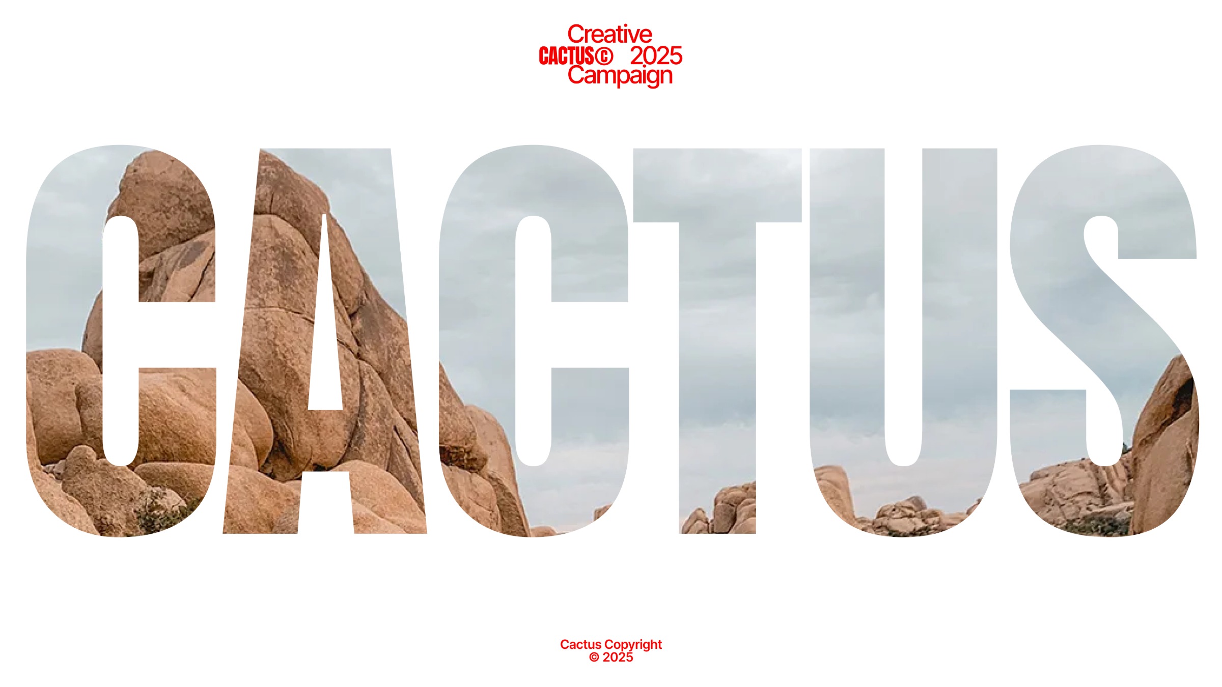 Cactus Campaign Image 2