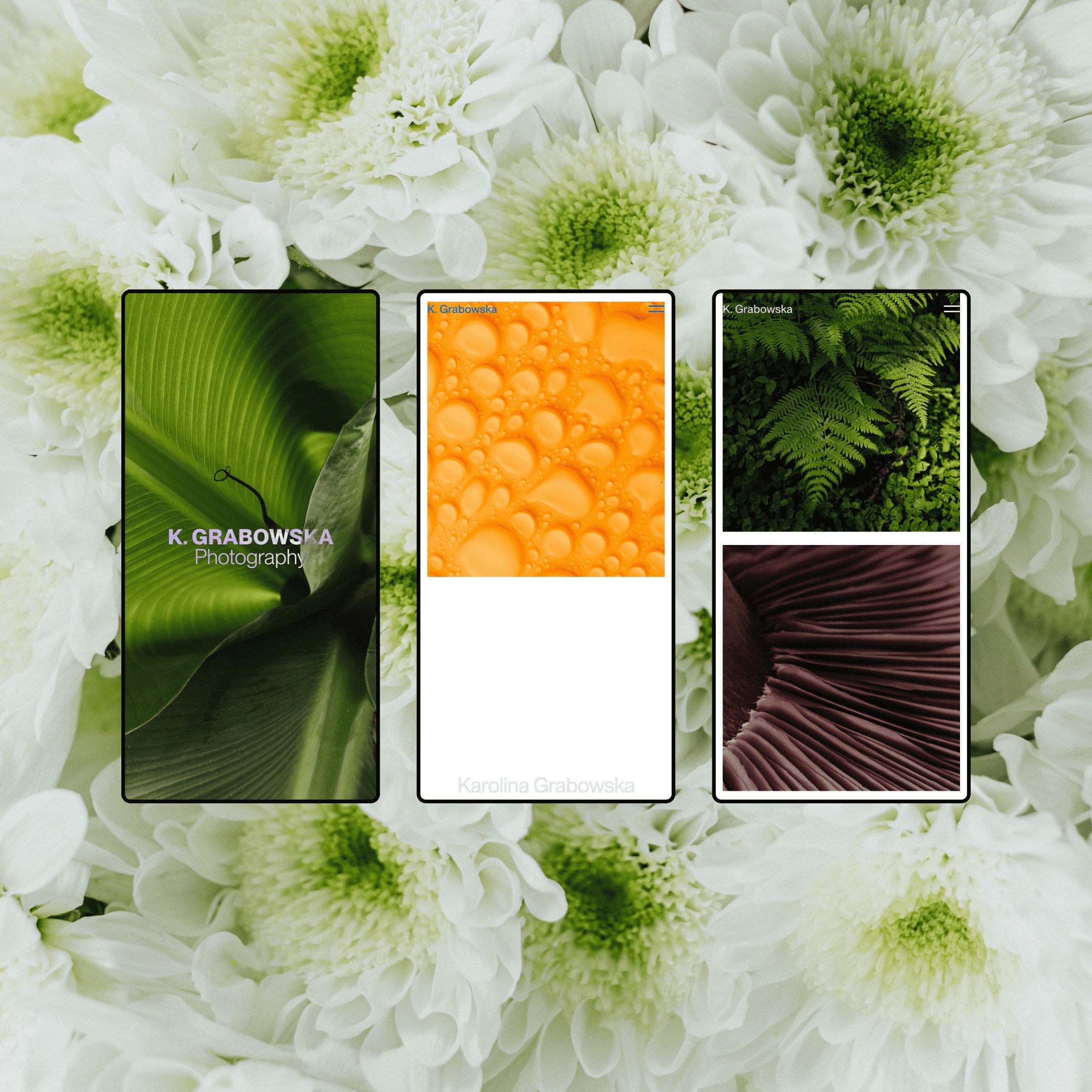 Portfolio Website - Karolina Grabowska Vol 03 by Maria Rakovic Image 1