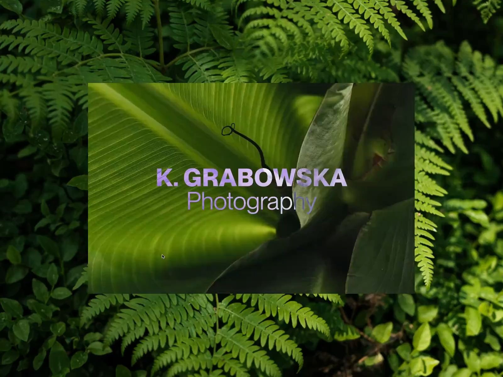 Portfolio Website - Karolina Grabowska Vol 03 by Maria Rakovic Image 5