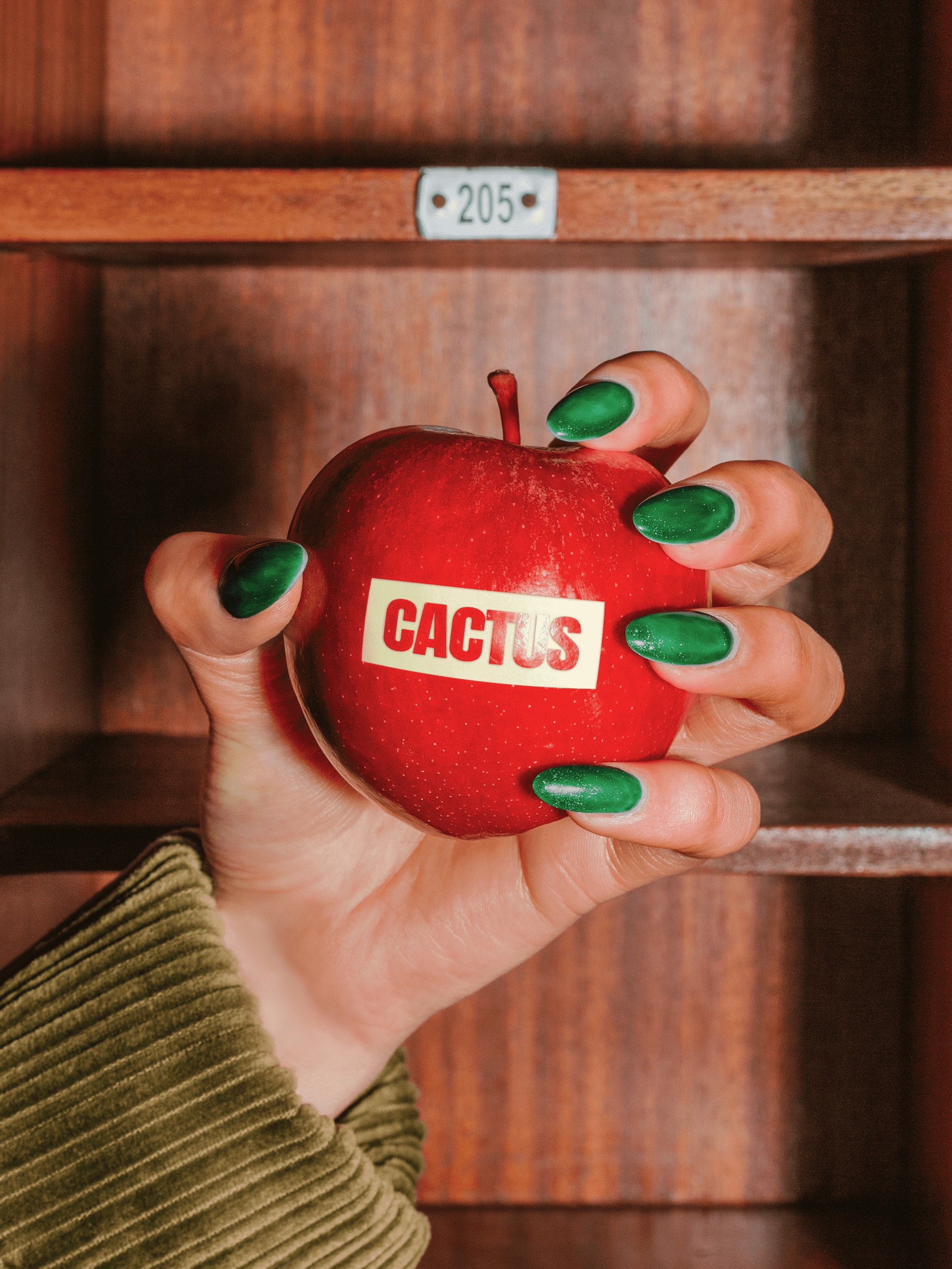 Cactus Digital Campaign 001. Image 3