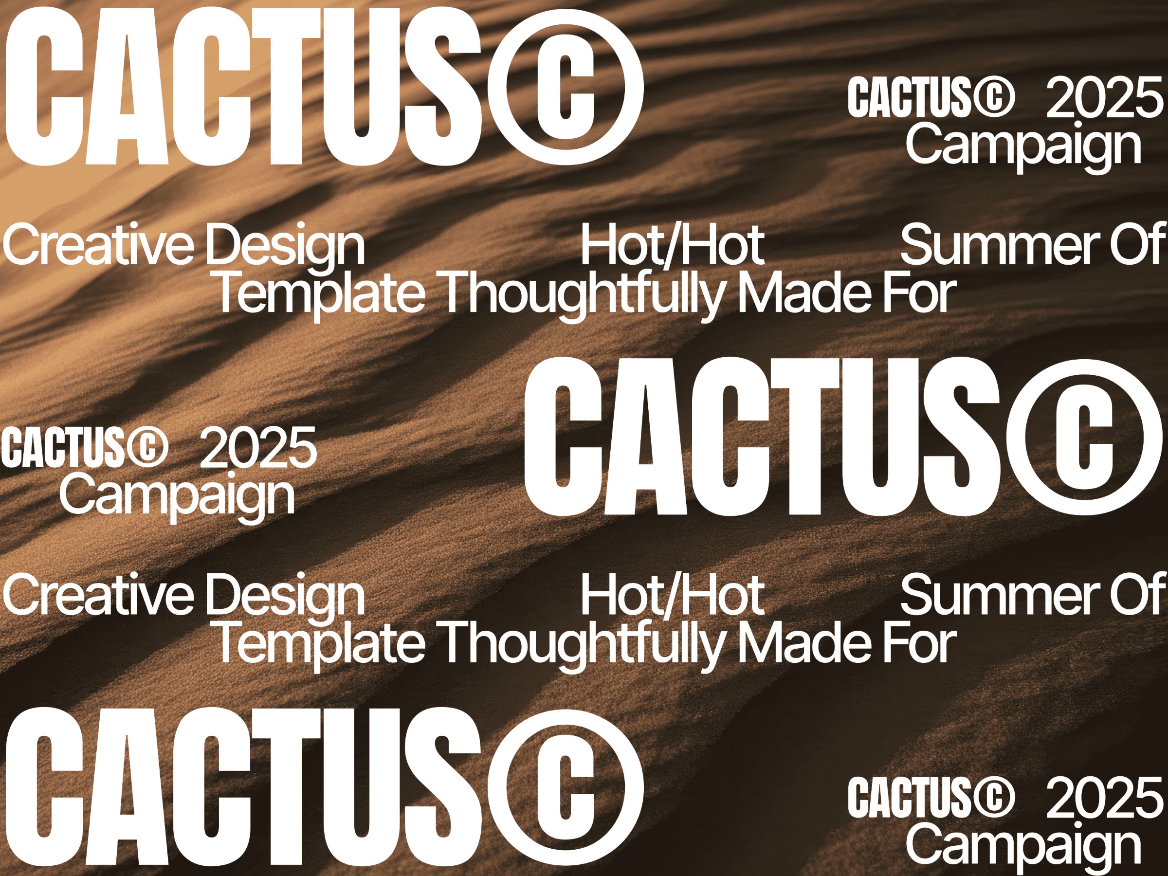 Cactus Digital Campaign 002 Image 2