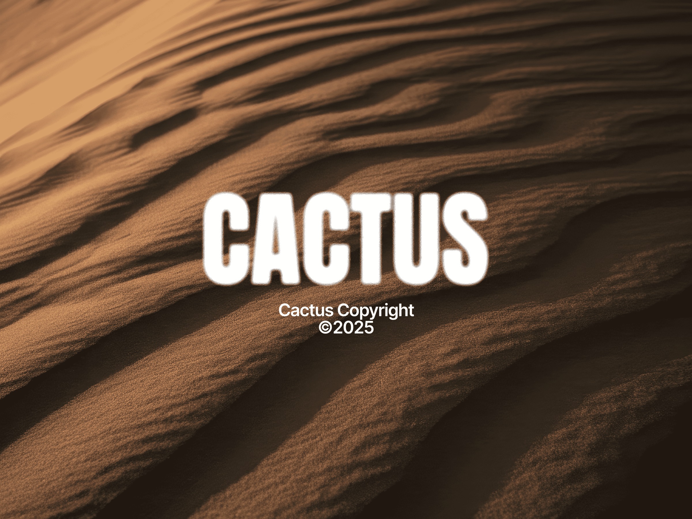 Cactus Digital Campaign 002 Image 4