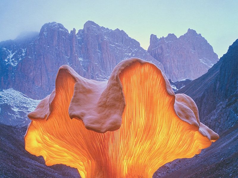 Imaginary installation Organic sculptures in Aconcagua