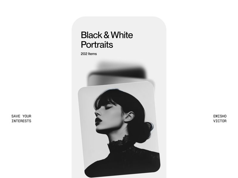 Visual Curation App