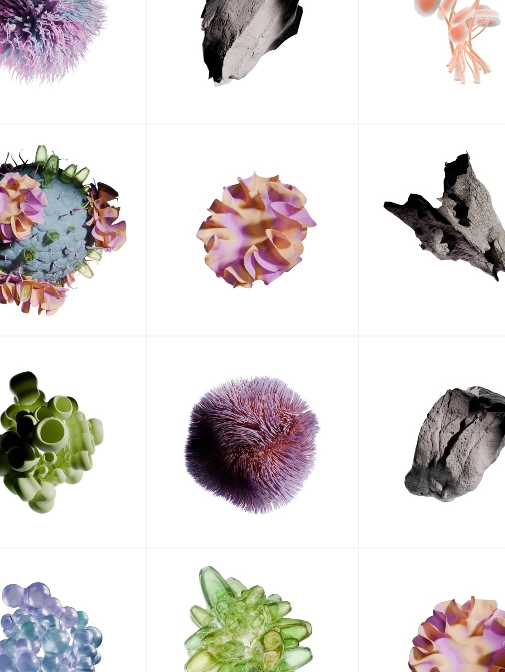Anima Image 10