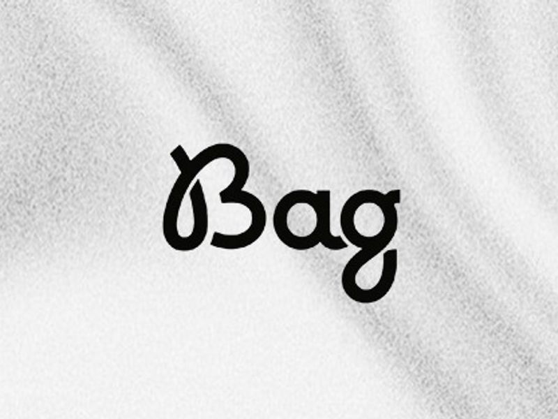 Anelka Bag — Software Developer & Frontend Engineer