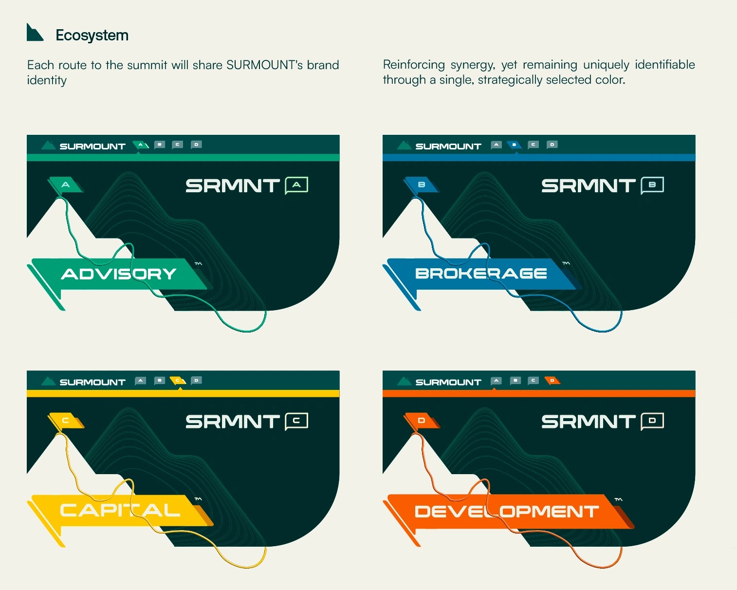 SURMOUNT™ – Brand Identity & Strategic Consolidation Image 0