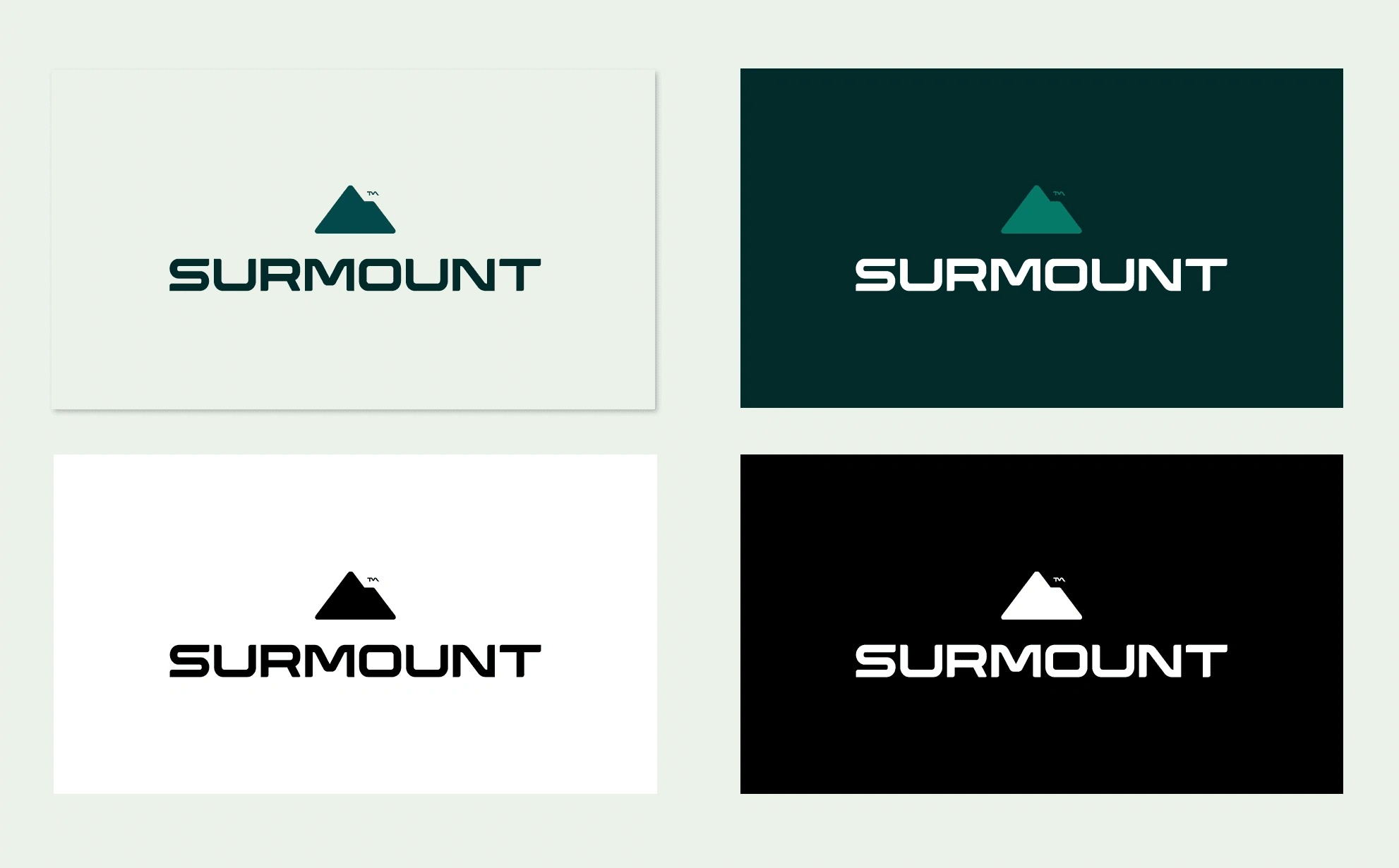 SURMOUNT™ – Brand Identity & Strategic Consolidation Image 9