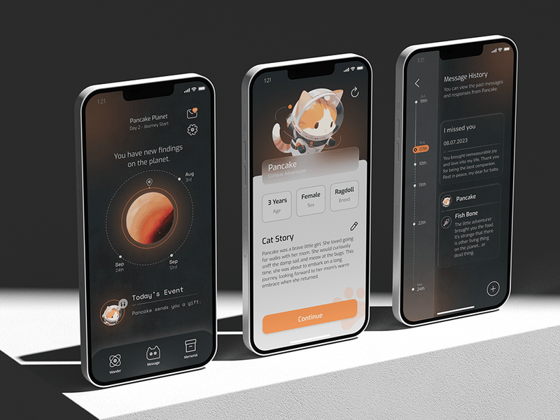 Purrlanet- Cat Loss App Design