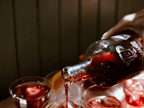 El Guarango Vermut | Branding & Art Direction