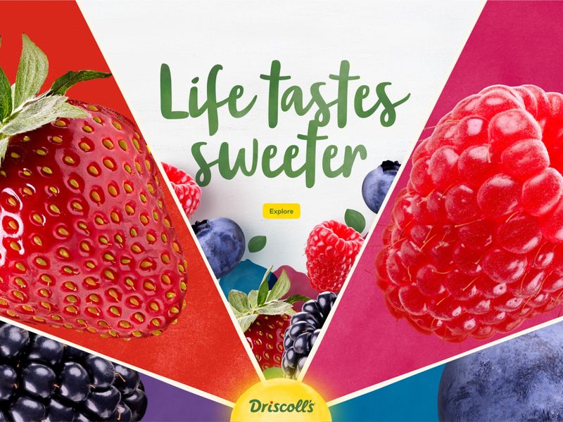 Driscoll's Berries