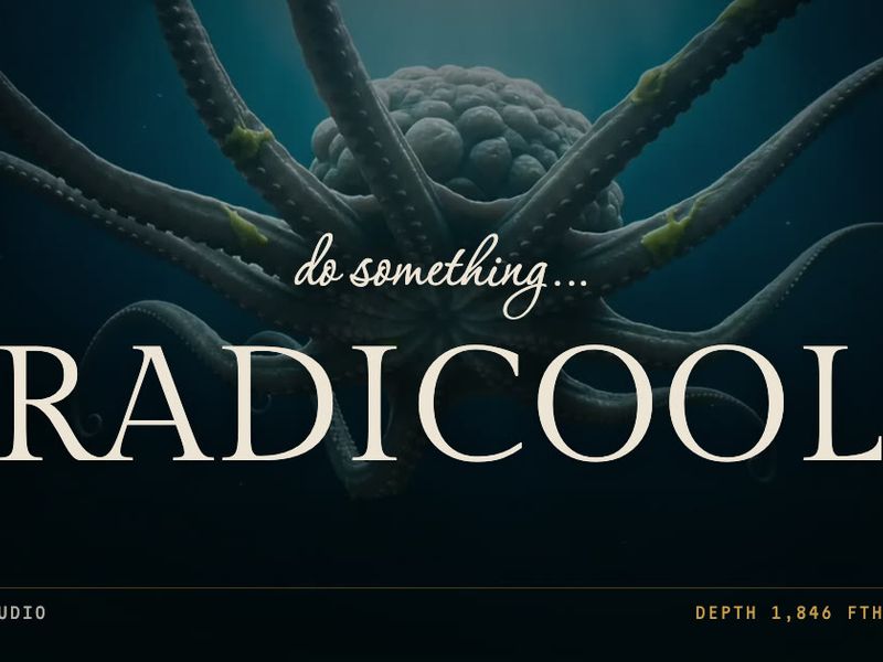 Radicool Studio — AI-Native Design Studio