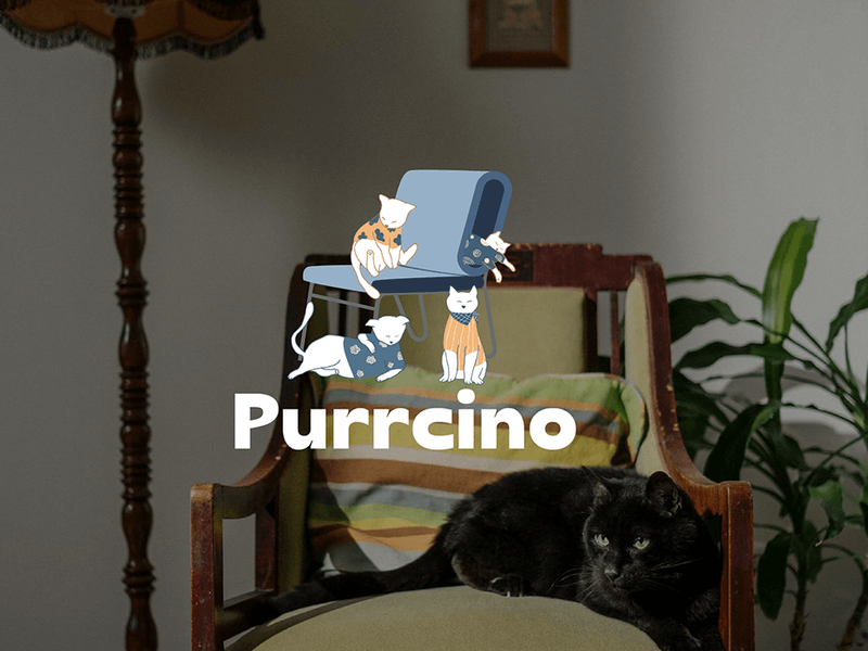 Purrcino - Coffee and Cats House Brand Identity
