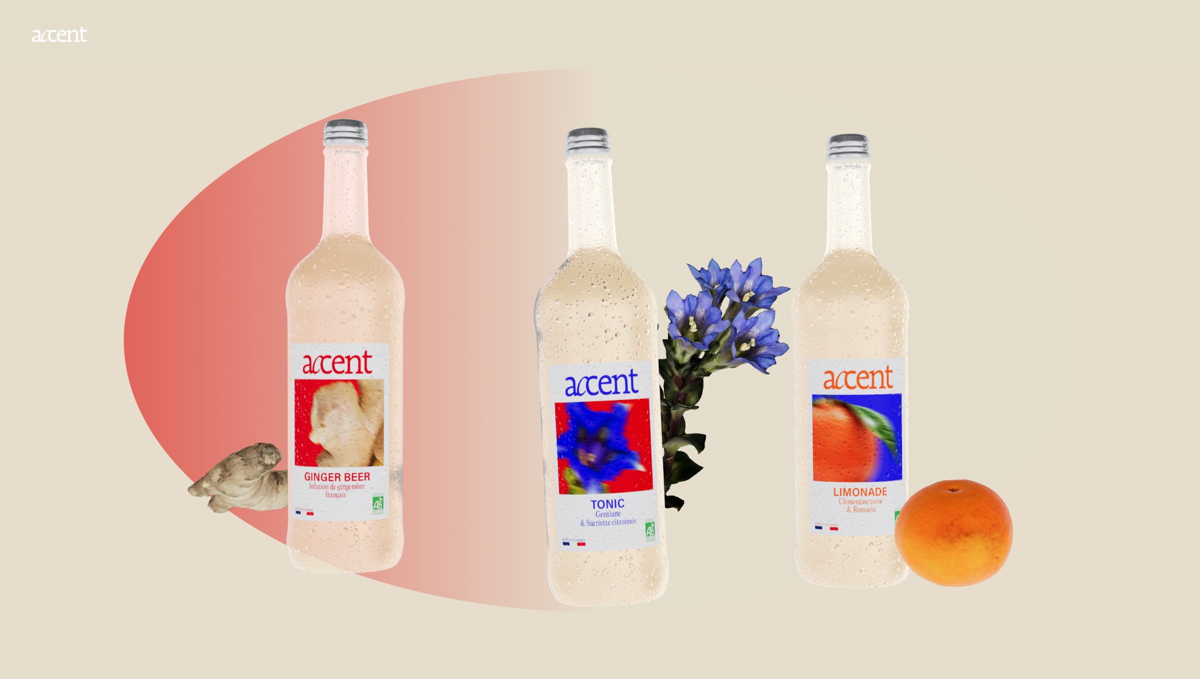 Accent — Des goûts qui vous parlent Image 0