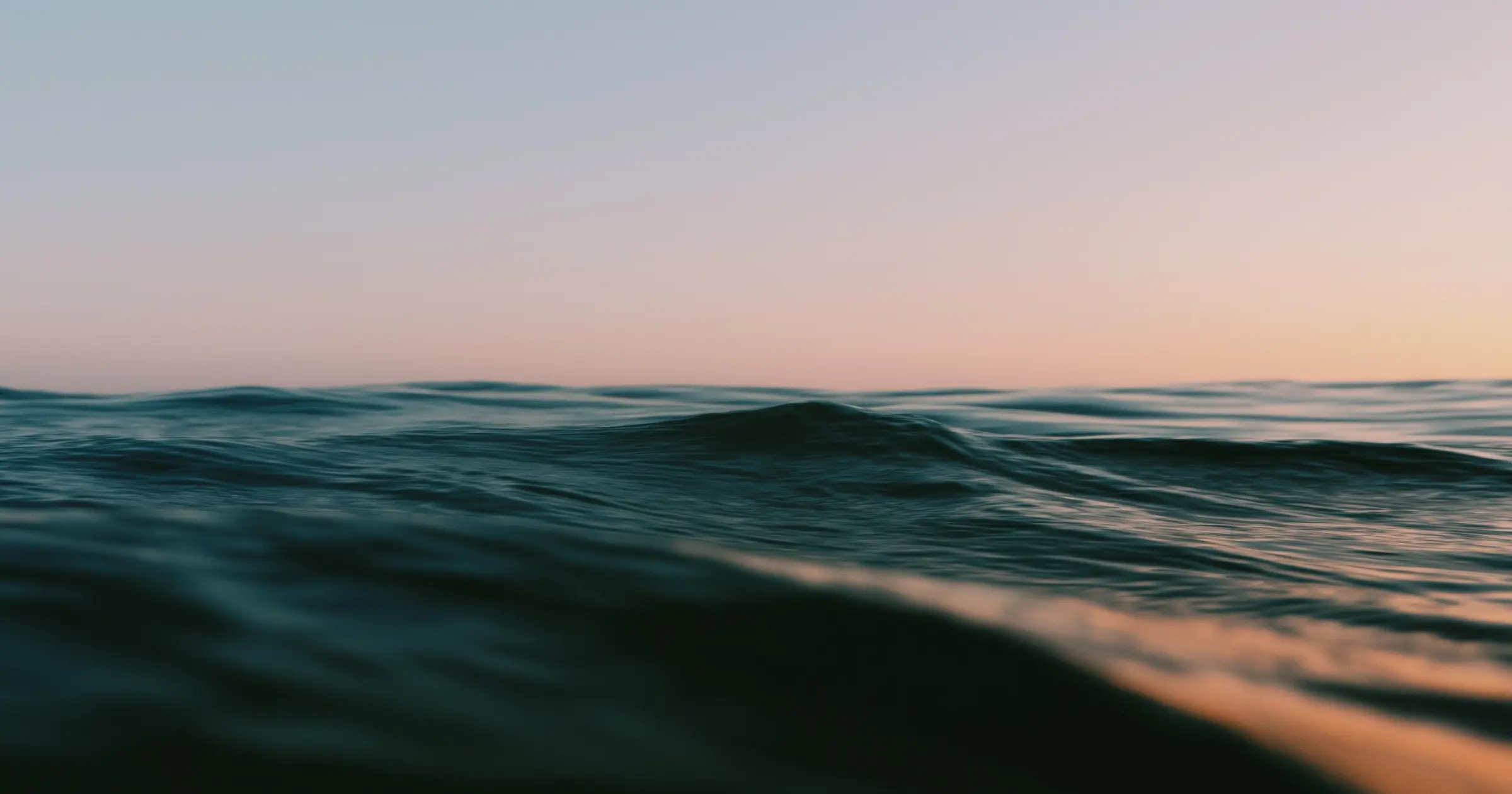 WHOISJOA® — Estudio especialista en webs high-end