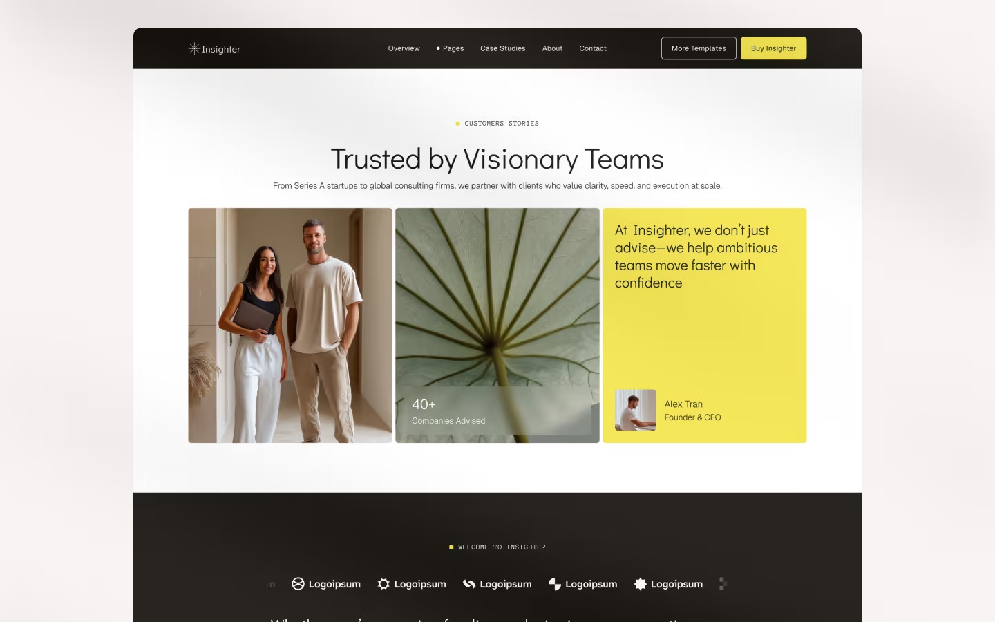 Insighter - Webflow HTML website template Image 1