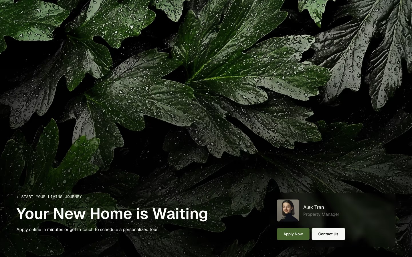 Terris - Webflow Ecommerce website template Image 3