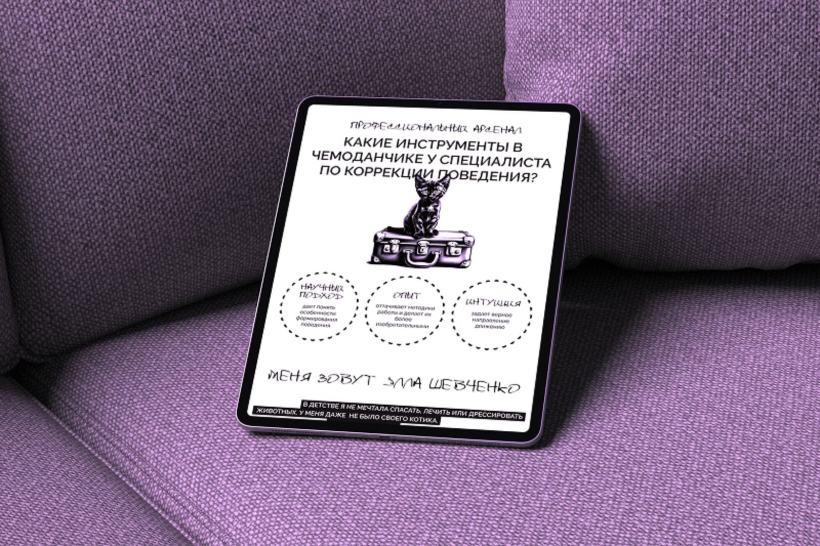 CatOnCouch: Webdesign for Expert Zoopsychology Consultations