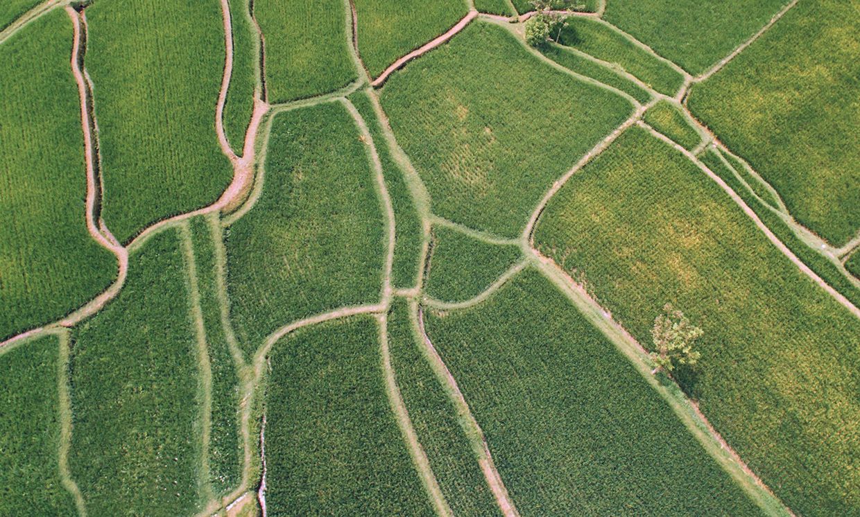 Kresho | Agriculture Brand Identity & UI/UX Image 6