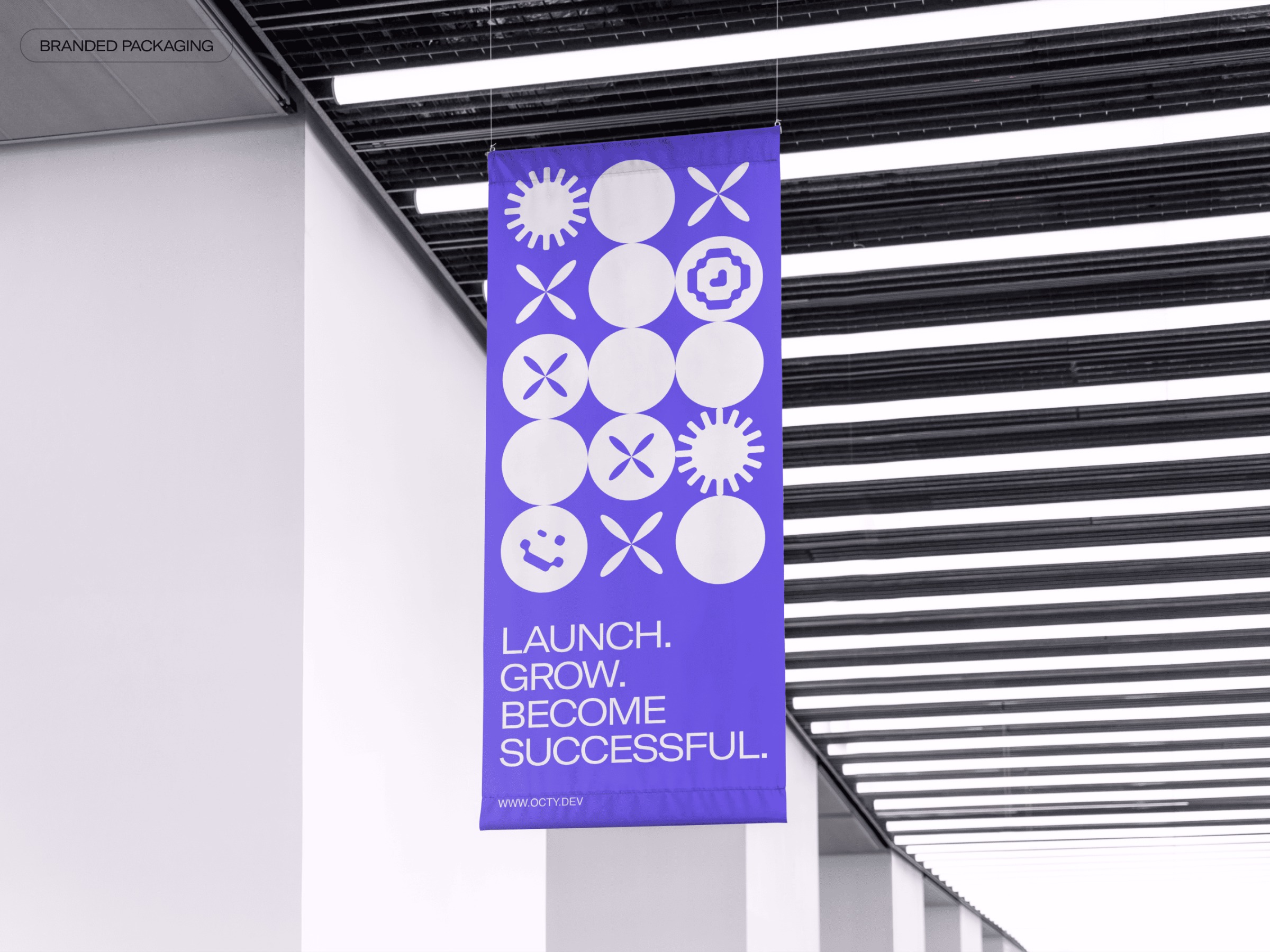 OCTY – Branding & Website Image 6