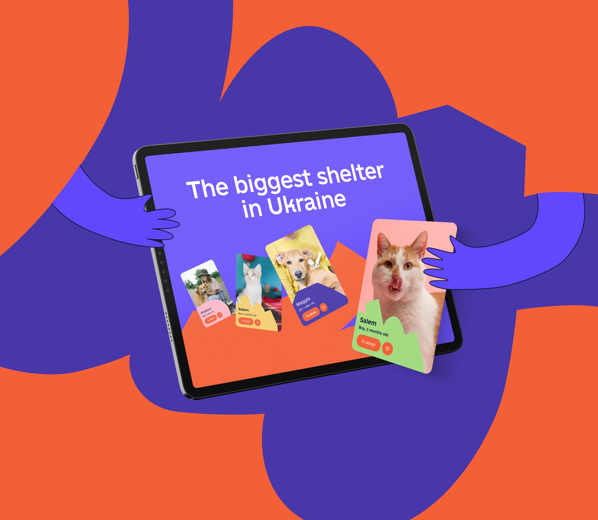 Sirius Animal Shelter – Web Design
