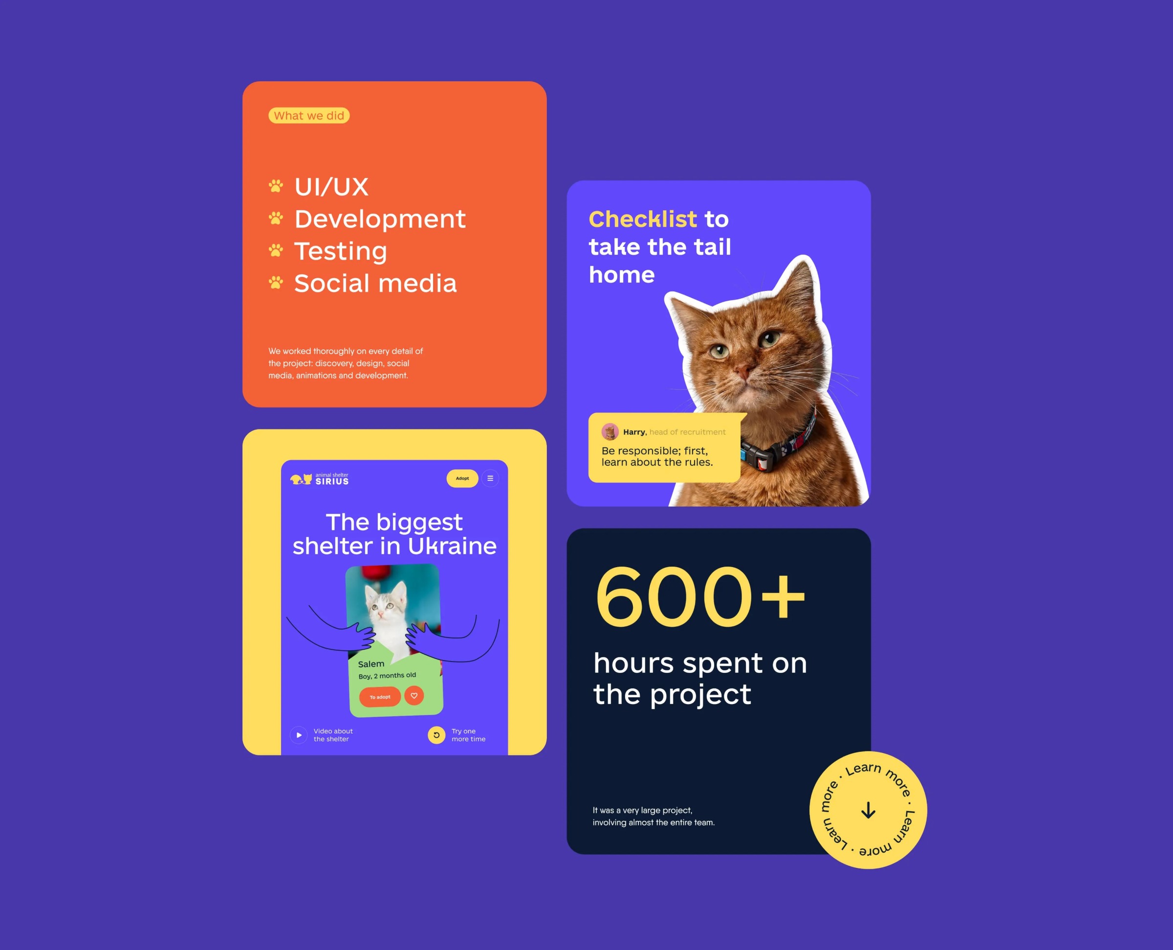 Sirius Animal Shelter – Web Design Image 1