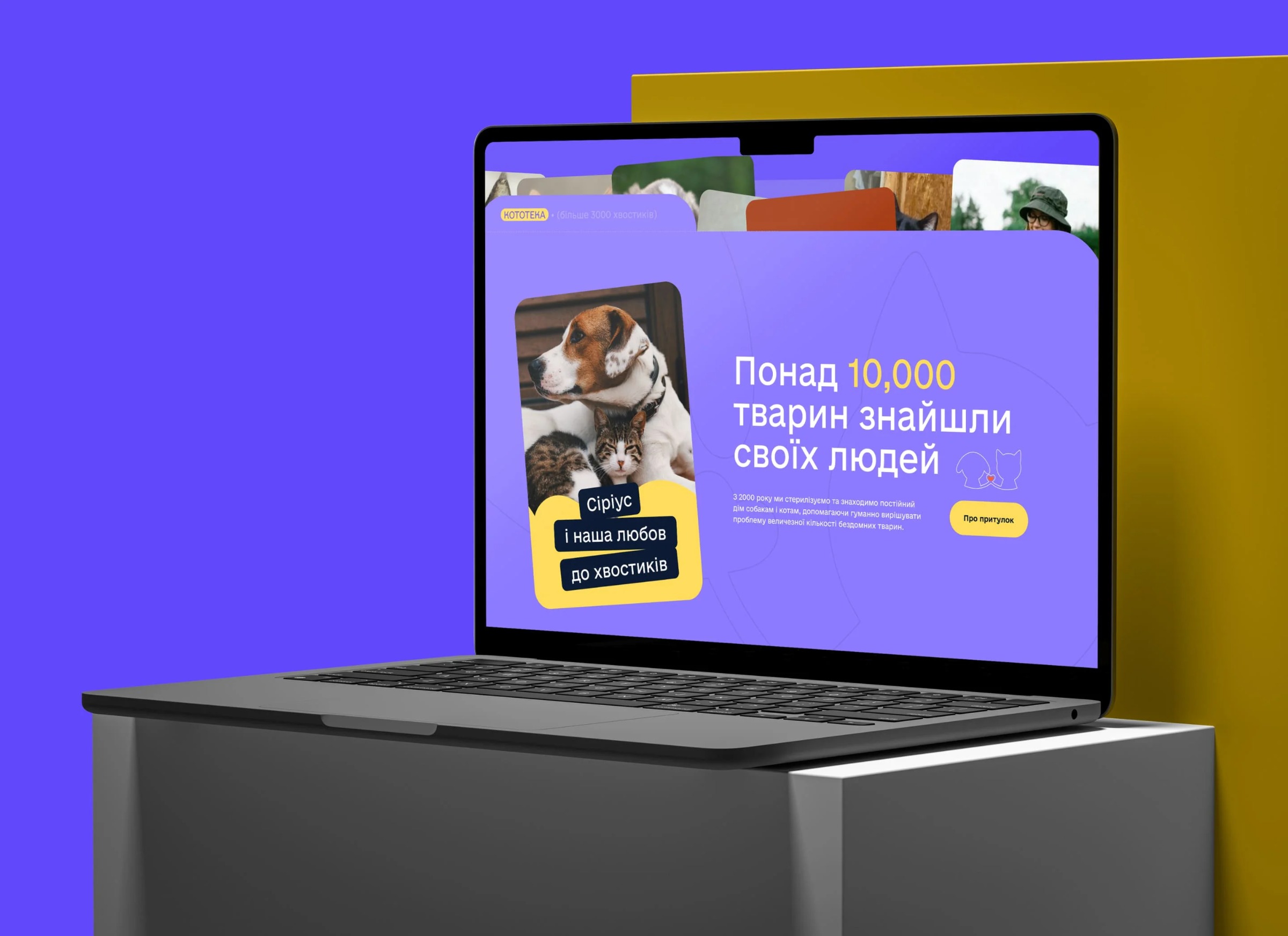Sirius Animal Shelter – Web Design Image 10