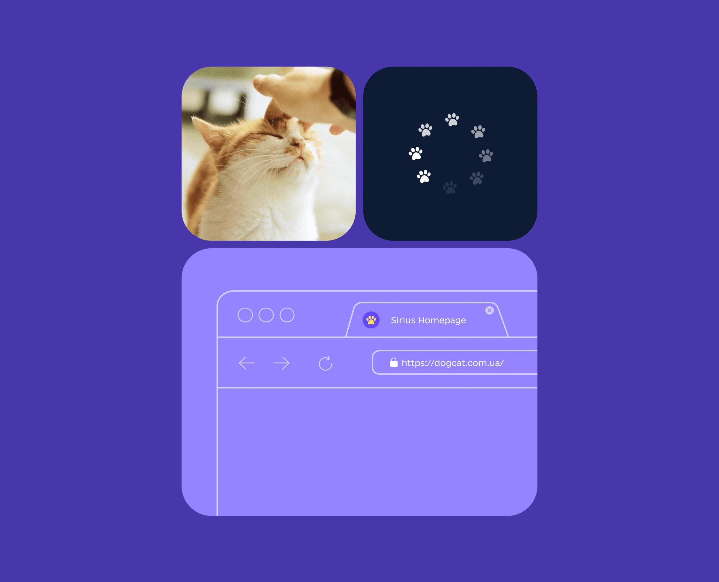 Sirius Animal Shelter – Web Design Image 17