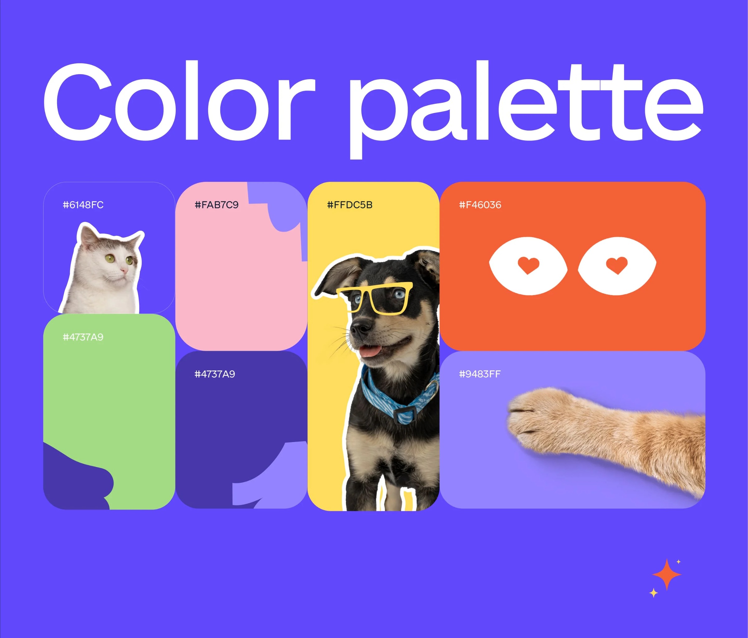 Sirius Animal Shelter – Web Design Image 22
