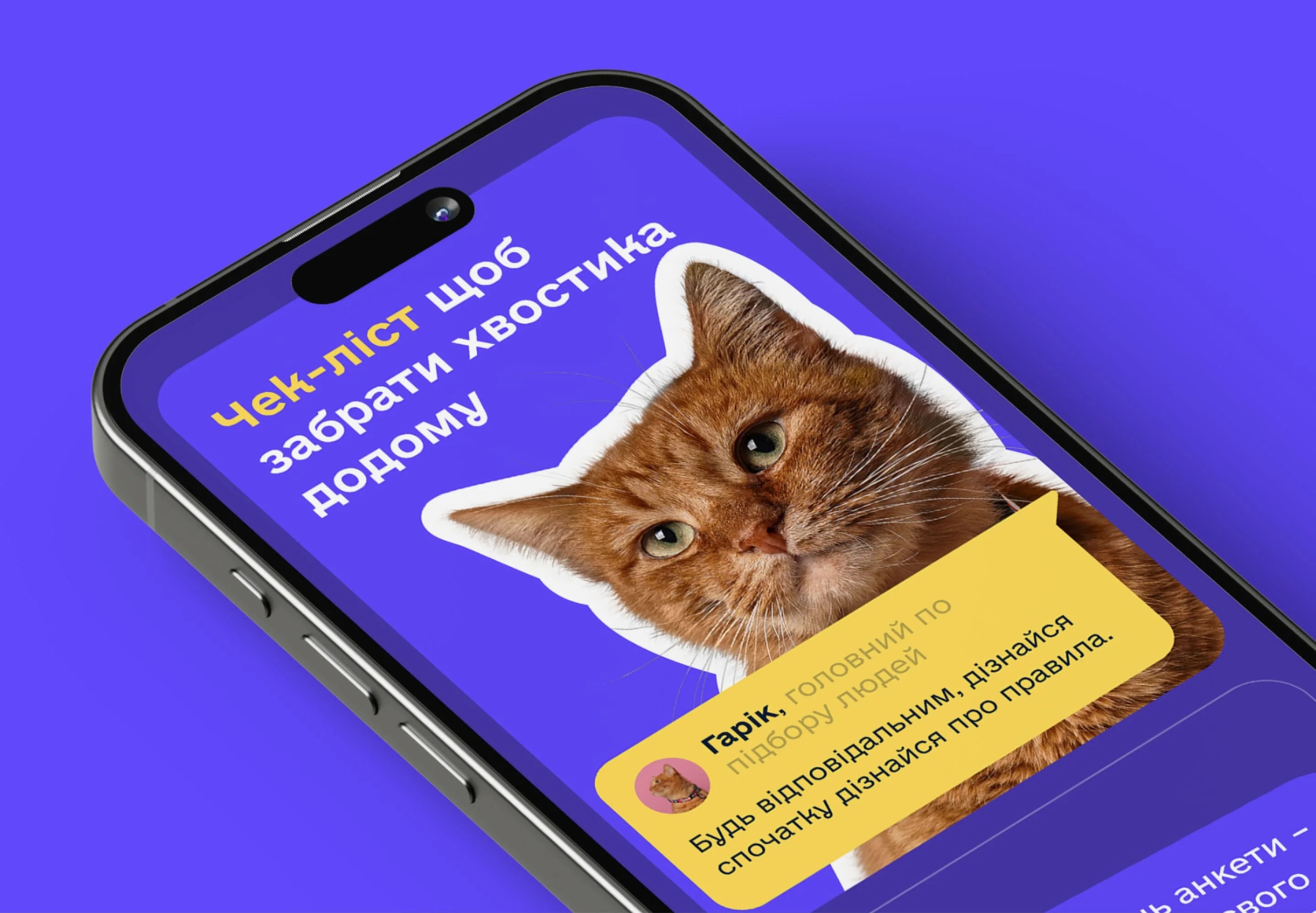 Sirius Animal Shelter – Web Design Image 23