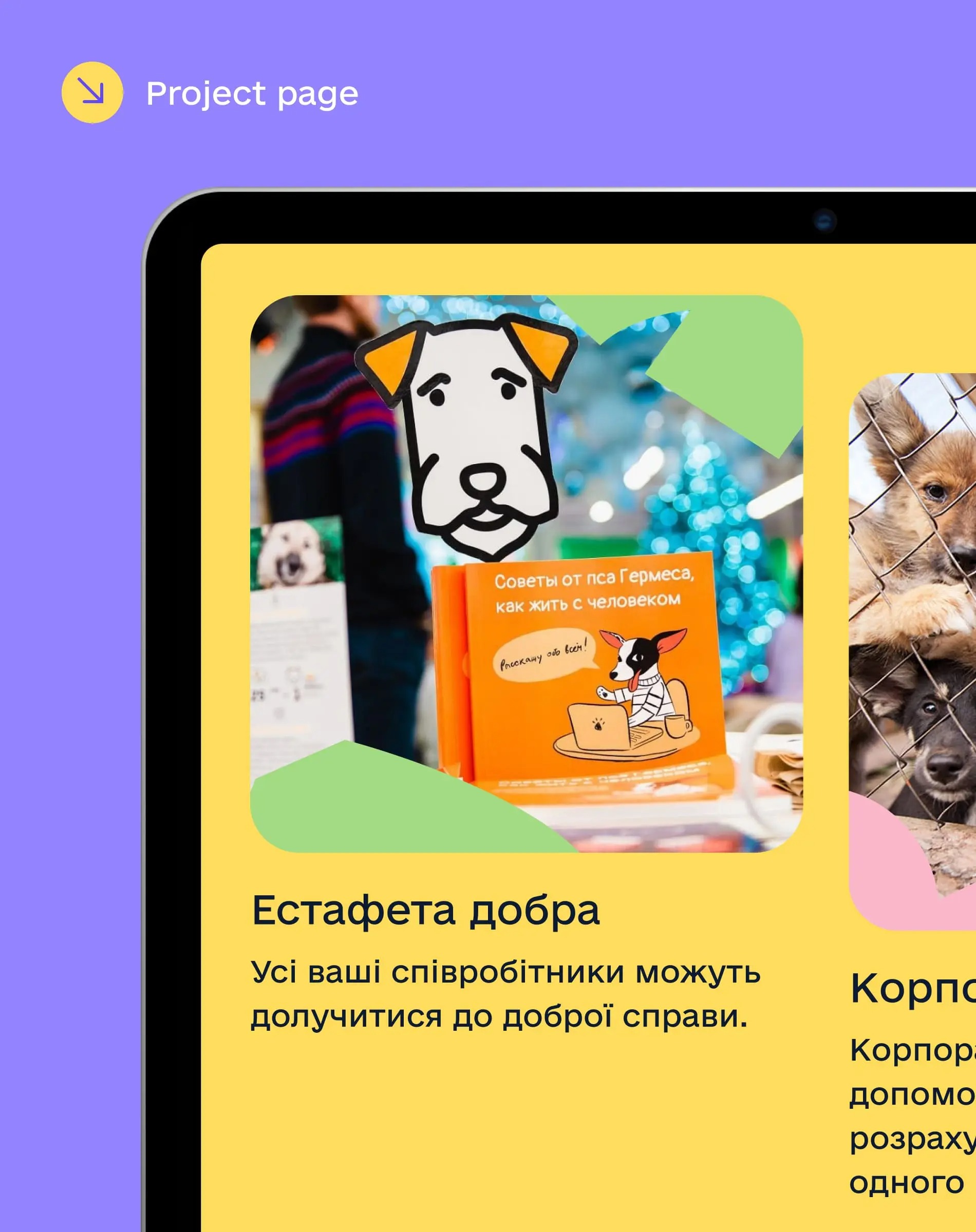 Sirius Animal Shelter – Web Design Image 26