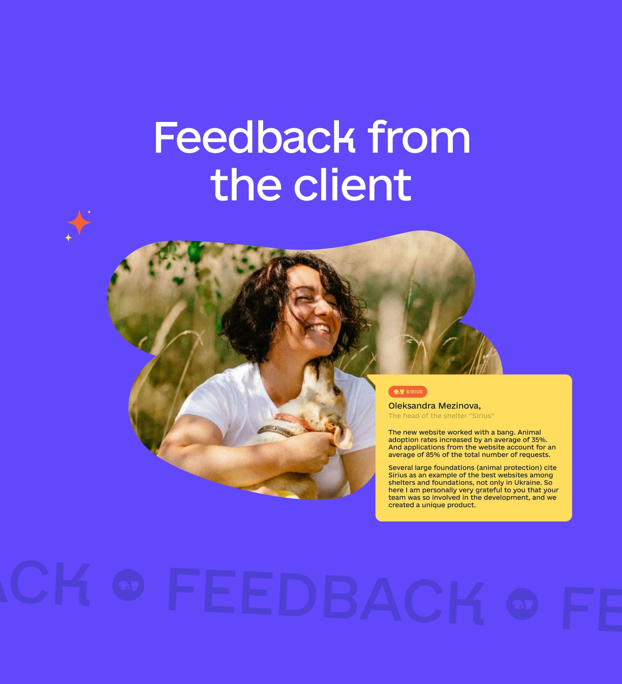 Sirius Animal Shelter – Web Design Image 34