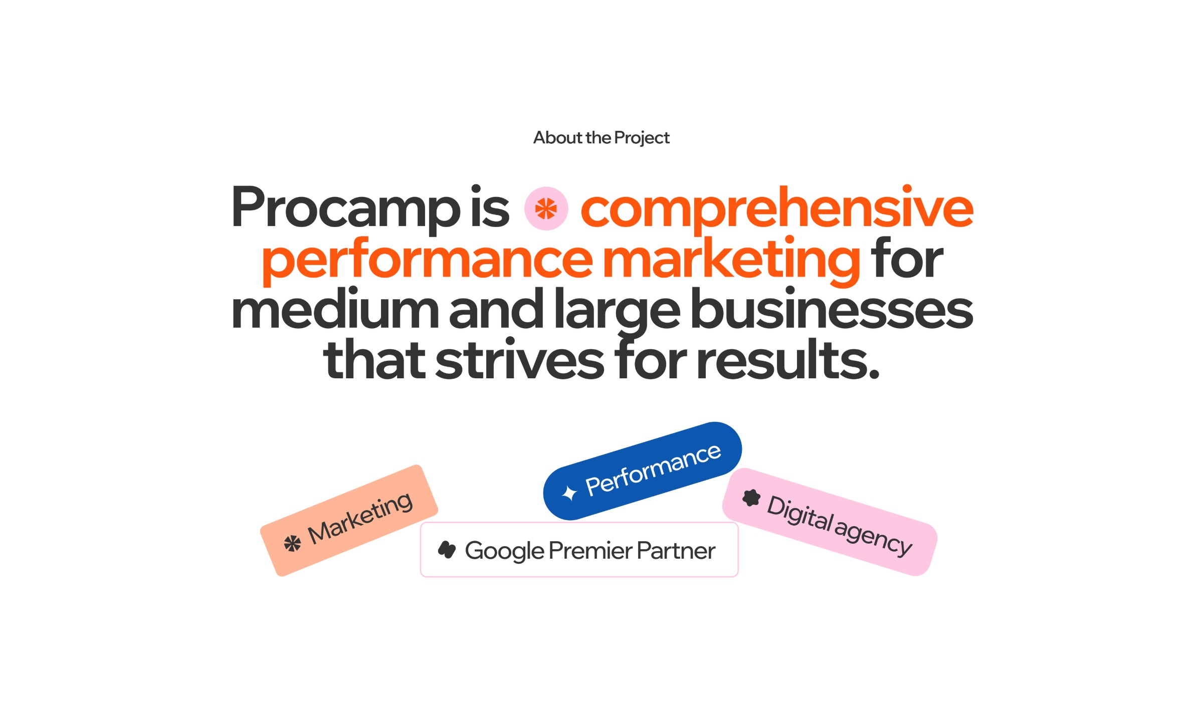 Procamp – Visual Identity & Website Design Image 0