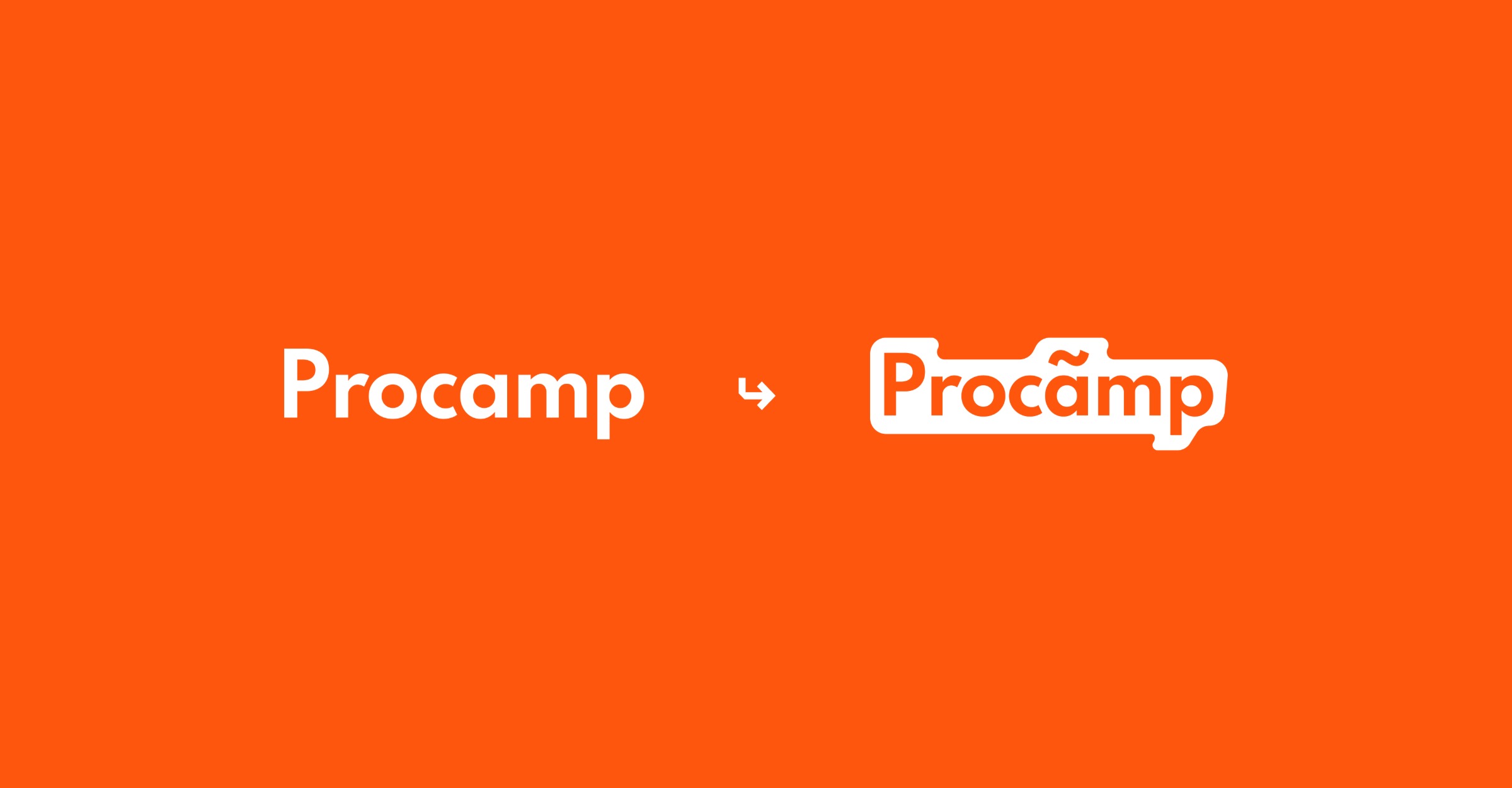 Procamp – Visual Identity & Website Design Image 3