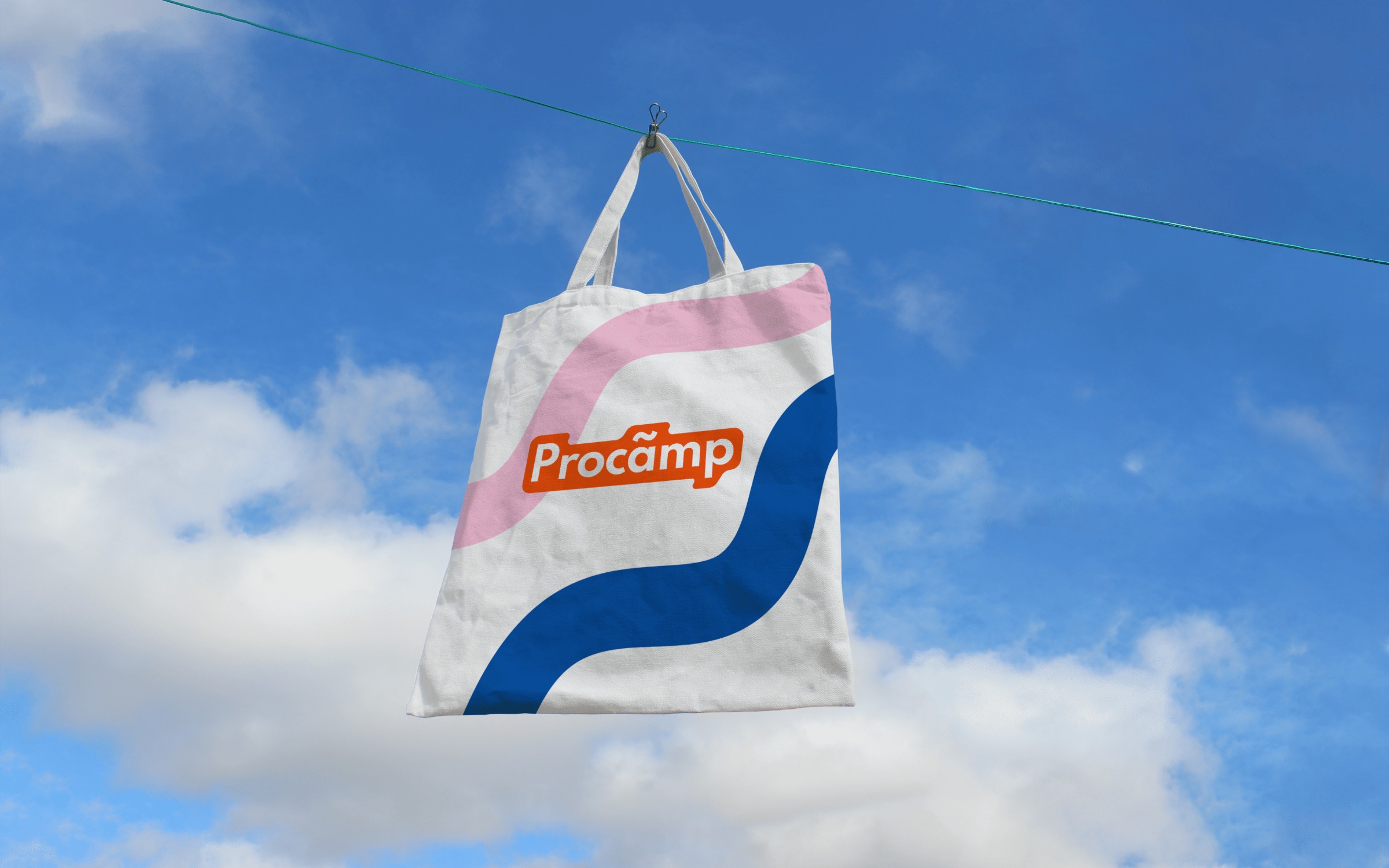 Procamp – Visual Identity & Website Design Image 5
