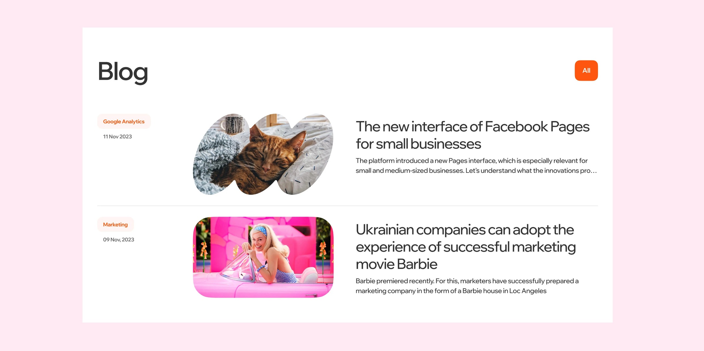 Procamp – Visual Identity & Website Design Image 13