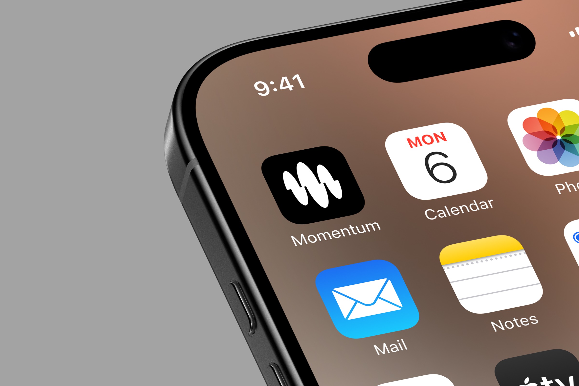 Momentum App: Branding, UX & Web Image 6
