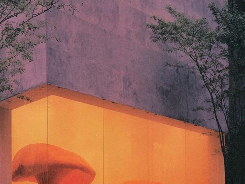 Imaginary installations  Mushroom sculptures in museums and galleries