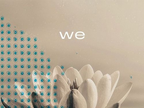 we*re   |    we reflect | we are reflections.